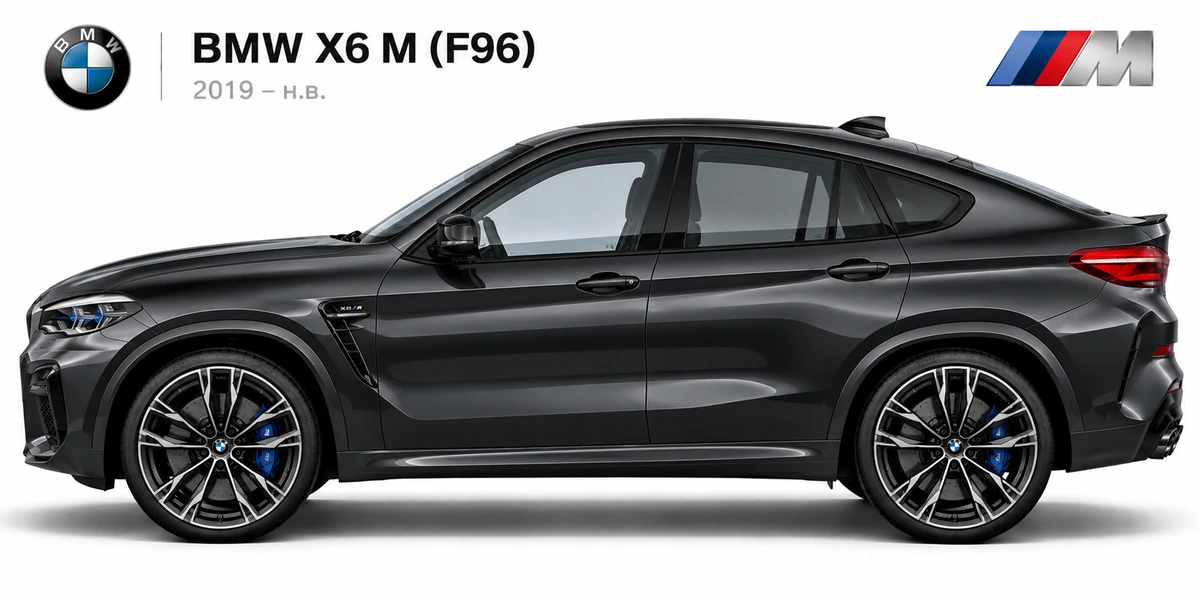 BMW X6 M F96 2019–н.в.