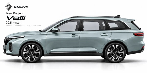 New Baojun Valli (CN202W)